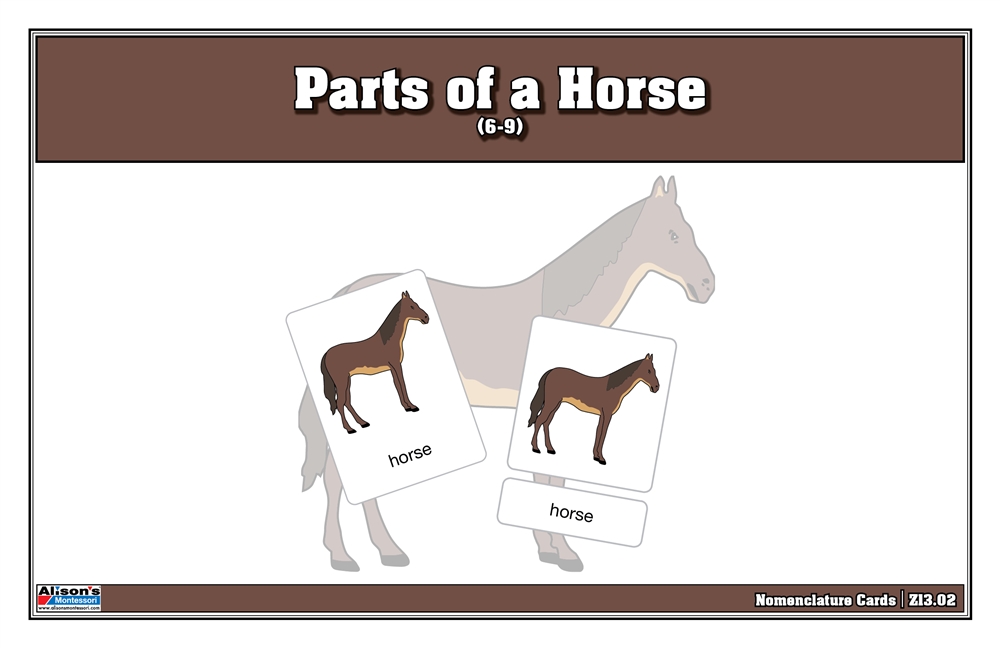 Montessori: Parts of a Horse Nomenclature Cards (6-9) (Printed)