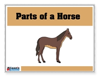 Parts of the Horse Control Booklet