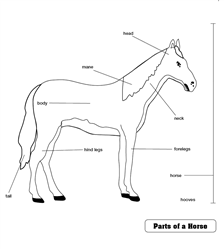 Parts of a Horse Puzzle Control Chart