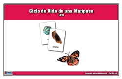 Tarjetas de nomenclatura del ciclo de vida de una mariposa (Spanish)