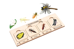 Life Cycle Set: Dragonfly