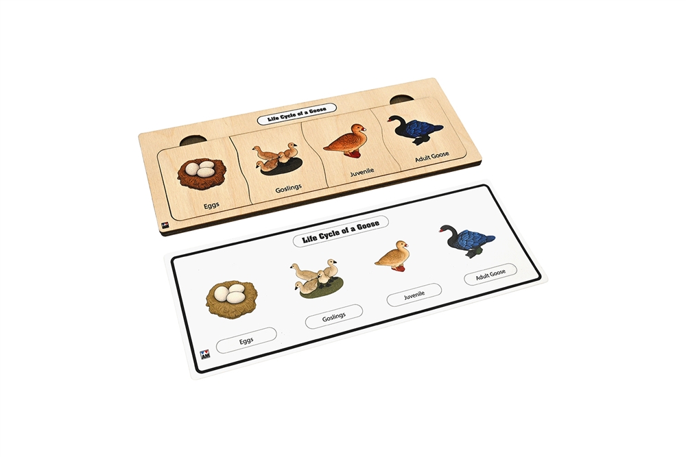 Montessori Materials: Life Cycle of a Goose Puzzle