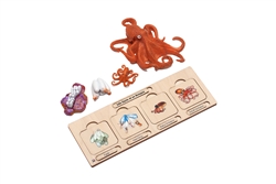 Life Cycle Set: Octopus
