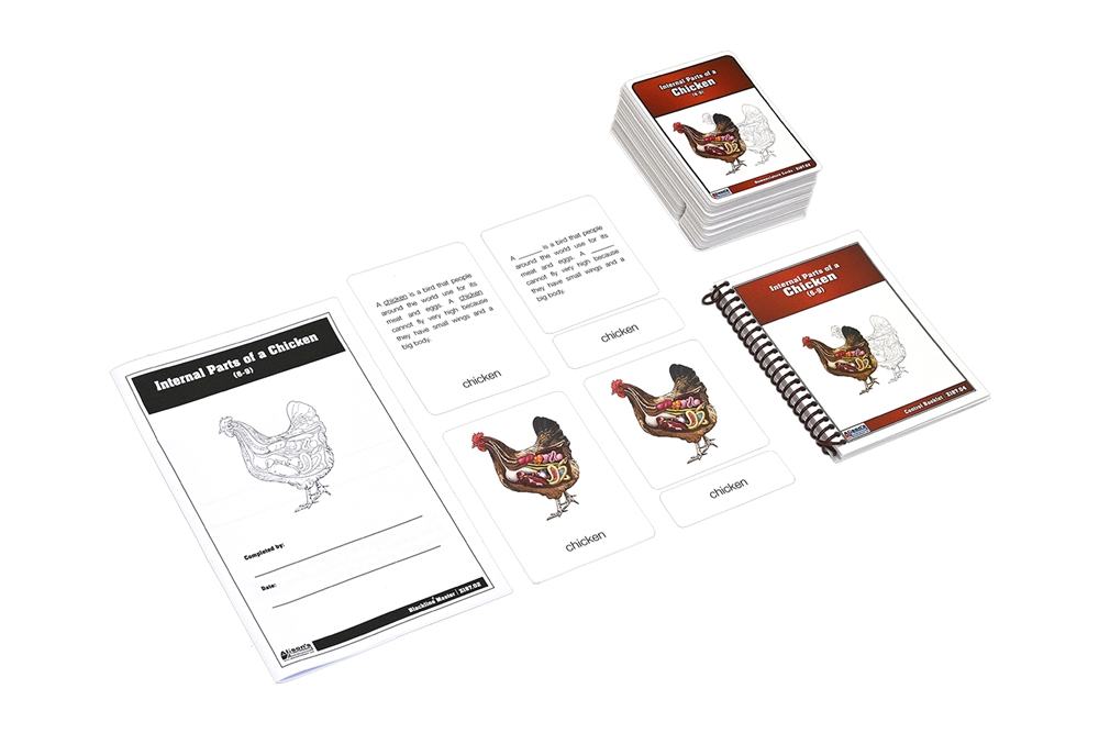 Montessori Materials: Internal Parts of a Chicken Nomenclature Cards (6 ...