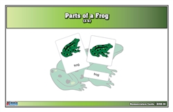 Parts of a Frog Nomenclature Cards (3-6) (Printed) (Clearance)