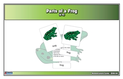 Parts of a Frog Nomenclature Cards (6-9) (Printed) (Clearance)