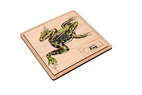 Parts of a Frog Puzzle with Nomenclature Cards (3-6)