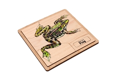 Parts of a Frog Puzzle (Elementary)