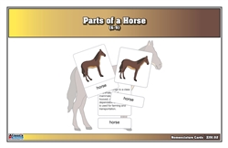 Parts of a Horse Nomenclature Cards (6-9) (Printed) (Clearance)