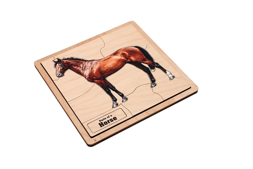 Parts of a Horse Puzzle with Nomenclature Cards (3-6)