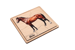 Parts of a Horse Puzzle (Elementary)