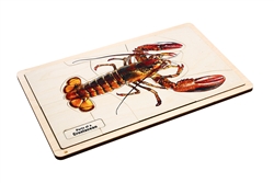 Parts of a Crustacean Puzzle with Nomenclature Cards (3-6) (Printed)