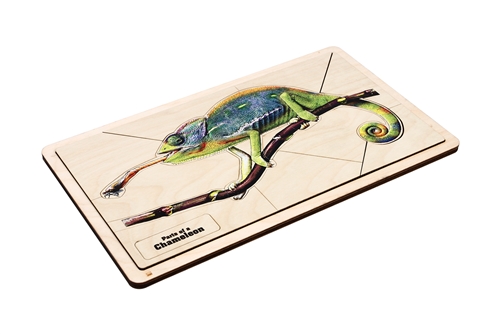 Parts of a Chameleon Puzzle with Nomenclature Cards (3-6) (Printed)