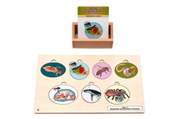Types of Animal Respiratory and Excretory Organs Puzzle