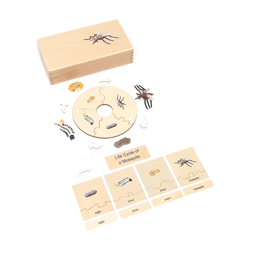 Montessori Materials: Life Cycle Set of a Mosquito