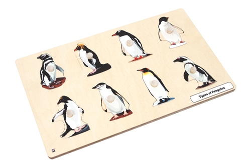 Types of Penguins Puzzle
