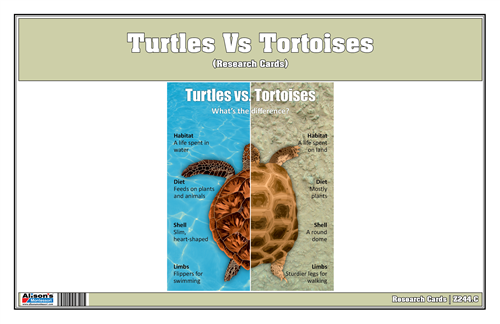 Turtles Vs Tortoise Research Cards