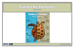Turtles Vs Tortoise Task Cards
