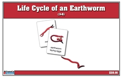 Life Cycle of an Earthworm NC