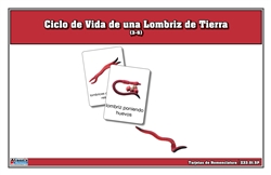 Tarjetas de nomenclatura del ciclo de vida de una lombriz de tierra (Spanish)