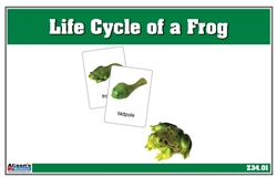 Life Cycle of a Frog Nomenclature Cards
