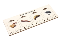 Life Cycle of a Mealworm Puzzle