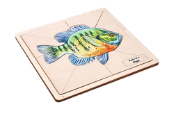 Parts of a Fish Puzzle with Nomenclature Cards (3-6)