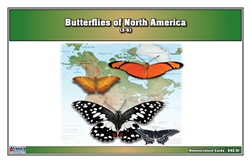 Butterflies of North America (Printed)