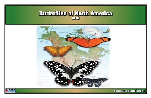 Butterflies of North America (Printed)