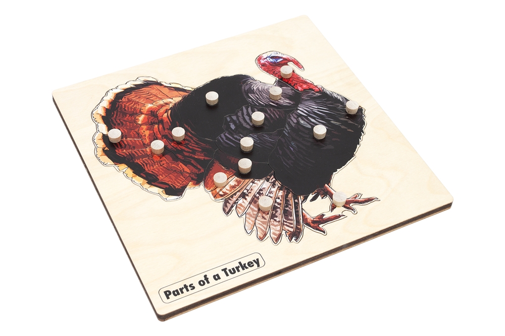 Parts of a Turkey Puzzle 