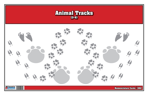 Animal Track Nomenclature Cards (PDF File)