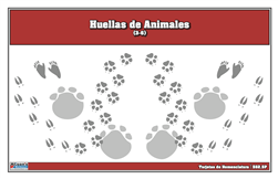 Tarjetas de nomenclatura de huellas de animales (Spanish)