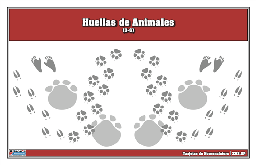 Animal Track Nomenclature Cards (Spanish)