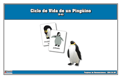 Tarjetas de nomenclatura del ciclo de vida de un pingüino (Spanish)