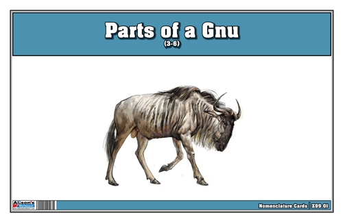 Parts of a Gnu (Printed)